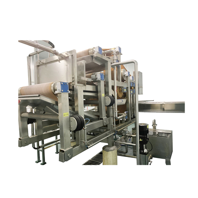 High Capacity Fresh Tomato Puree Processing Line Customization