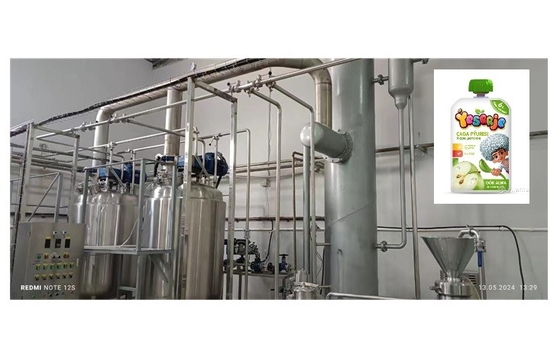 1000kg/H Apple Juice Fruit Processing Line / Automatic Fruit Puree Pulp Juice Processing Equipment