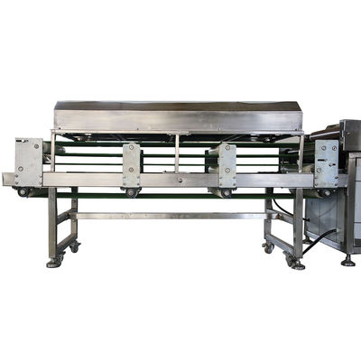 Stainless Steel 304 AutomaticTortilla Production Line Corrosion Resistant