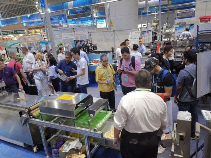 Машина для изготовления тортилий, низкое энергопотребление, высокая скорость, 2000 шт/ч 13